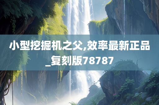 小型挖掘机之父,效率最新正品_复刻版78787