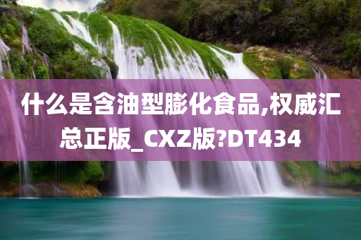 什么是含油型膨化食品,权威汇总正版_CXZ版?DT434