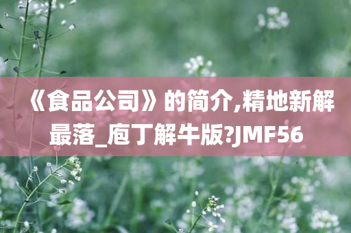 《食品公司》的简介,精地新解最落_庖丁解牛版?JMF56