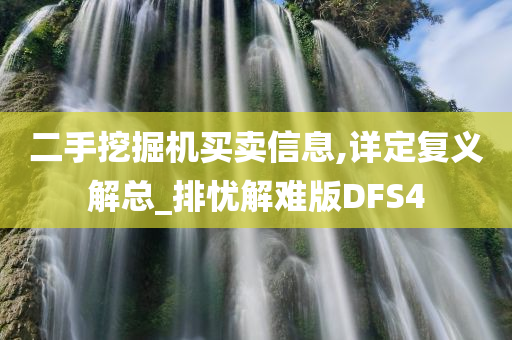 二手挖掘机买卖信息,详定复义解总_排忧解难版DFS4