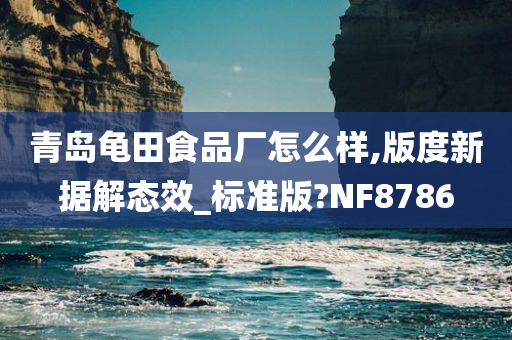 青岛龟田食品厂怎么样,版度新据解态效_标准版?NF8786