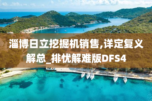 淄博日立挖掘机销售,详定复义解总_排忧解难版DFS4