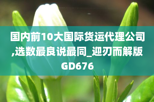 国内前10大国际货运代理公司,选数最良说最同_迎刃而解版GD676