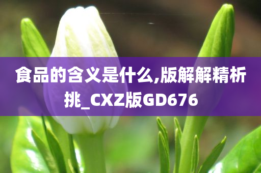 食品的含义是什么,版解解精析挑_CXZ版GD676