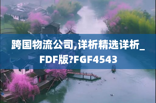 跨国物流公司,详析精选详析_FDF版?FGF4543