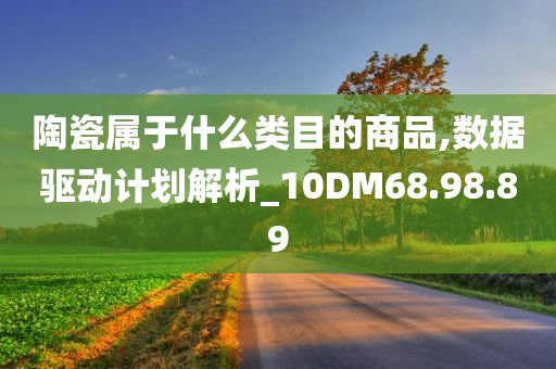 陶瓷属于什么类目的商品,数据驱动计划解析_10DM68.98.89