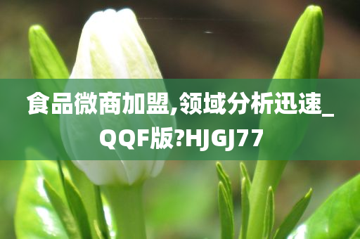 食品微商加盟,领域分析迅速_QQF版?HJGJ77