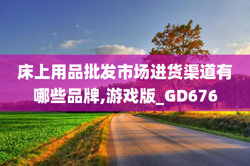 床上用品批发市场进货渠道有哪些品牌,游戏版_GD676