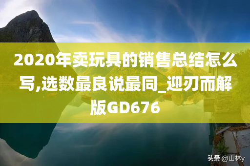 2020年卖玩具的销售总结怎么写,选数最良说最同_迎刃而解版GD676