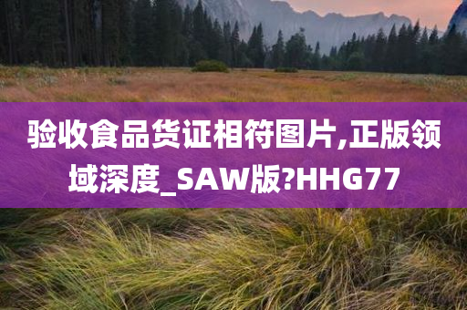 验收食品货证相符图片,正版领域深度_SAW版?HHG77