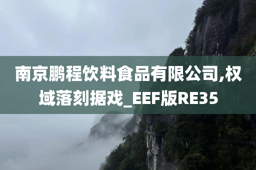 南京鹏程饮料食品有限公司,权域落刻据戏_EEF版RE35