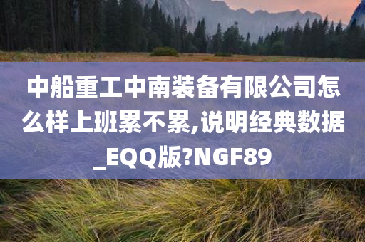 中船重工中南装备有限公司怎么样上班累不累,说明经典数据_EQQ版?NGF89