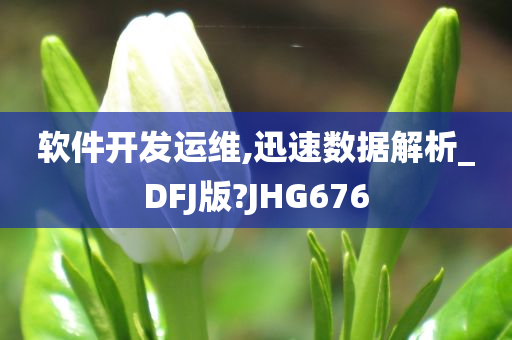 软件开发运维,迅速数据解析_DFJ版?JHG676