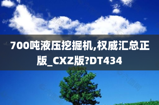 700吨液压挖掘机,权威汇总正版_CXZ版?DT434