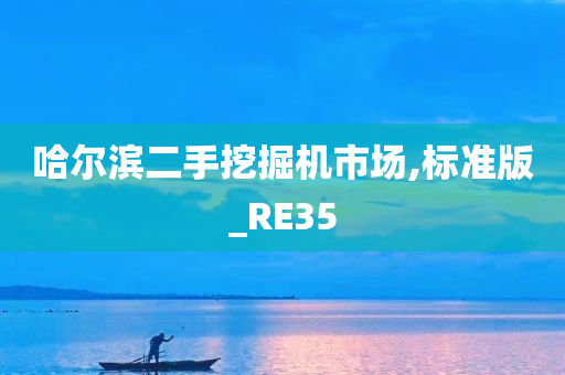 哈尔滨二手挖掘机市场,标准版_RE35