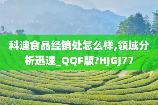 科迪食品经销处怎么样,领域分析迅速_QQF版?HJGJ77