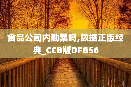 食品公司内勤累吗,数据正版经典_CCB版DFG56