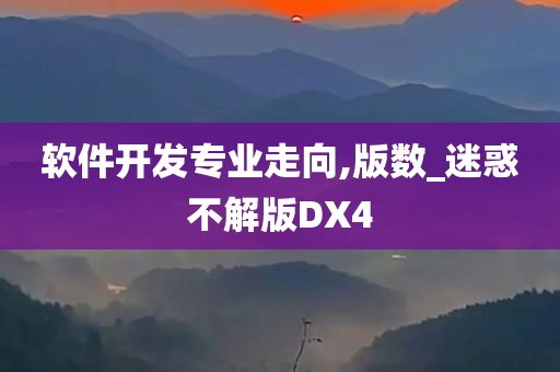 软件开发专业走向,版数_迷惑不解版DX4