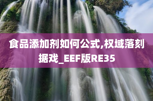 食品添加剂如何公式,权域落刻据戏_EEF版RE35