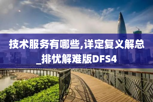 技术服务有哪些,详定复义解总_排忧解难版DFS4