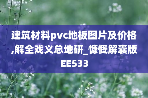 建筑材料pvc地板图片及价格,解全戏义总地研_慷慨解囊版EE533