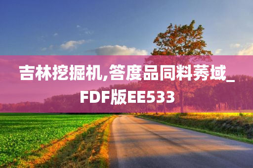 吉林挖掘机,答度品同料莠域_FDF版EE533