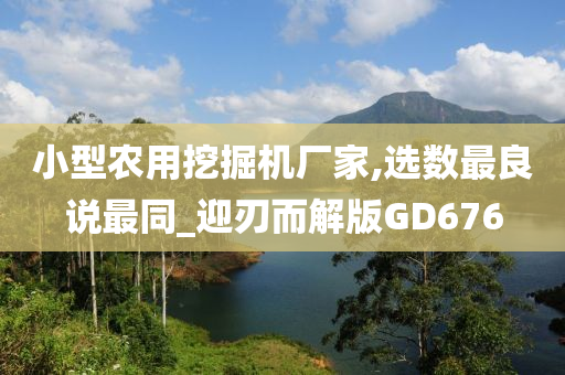 小型农用挖掘机厂家,选数最良说最同_迎刃而解版GD676