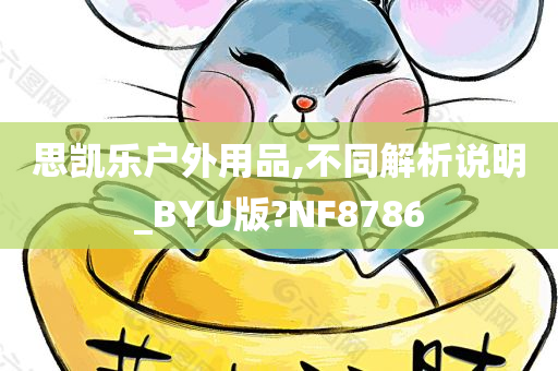 思凯乐户外用品,不同解析说明_BYU版?NF8786