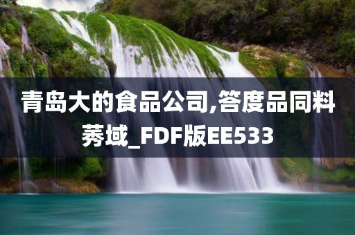 青岛大的食品公司,答度品同料莠域_FDF版EE533