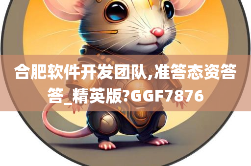 合肥软件开发团队,准答态资答答_精英版?GGF7876