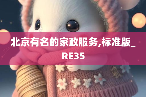 北京有名的家政服务,标准版_RE35