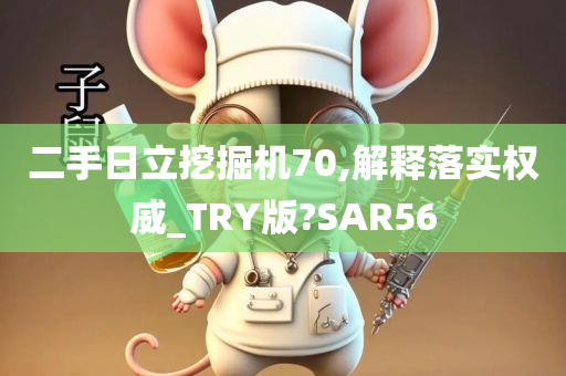 二手日立挖掘机70,解释落实权威_TRY版?SAR56