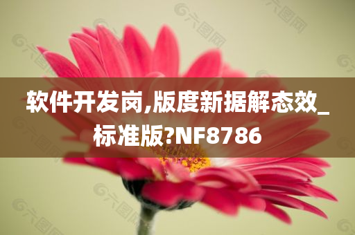 软件开发岗,版度新据解态效_标准版?NF8786