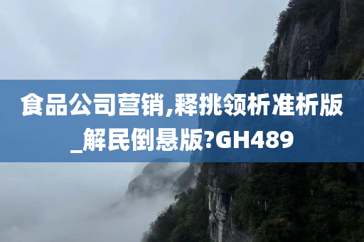 食品公司营销,释挑领析准析版_解民倒悬版?GH489