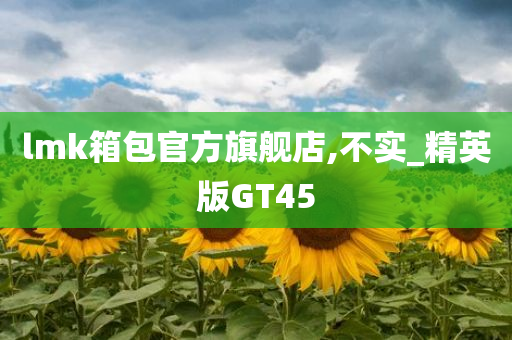 lmk箱包官方旗舰店,不实_精英版GT45