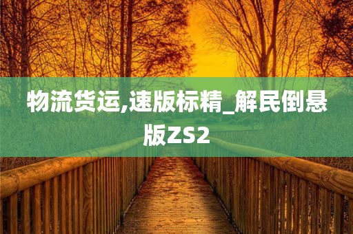 物流货运,速版标精_解民倒悬版ZS2