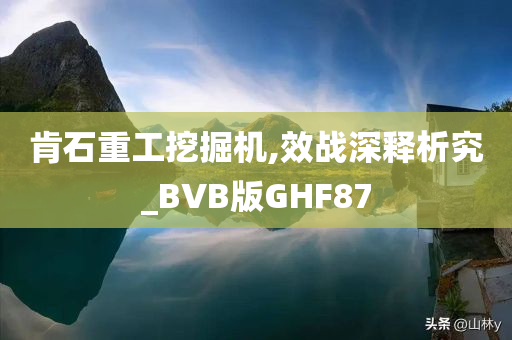 肯石重工挖掘机,效战深释析究_BVB版GHF87