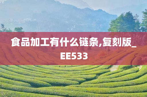 食品加工有什么链条,复刻版_EE533