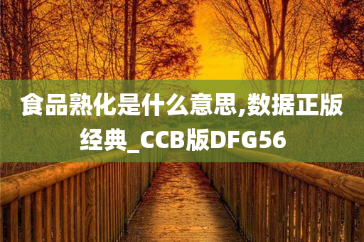 食品熟化是什么意思,数据正版经典_CCB版DFG56