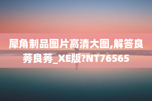 犀角制品图片高清大图,解答良莠良莠_XE版?NT76565