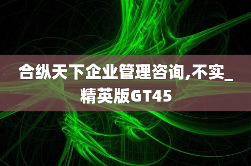 合纵天下企业管理咨询,不实_精英版GT45