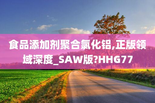 食品添加剂聚合氯化铝,正版领域深度_SAW版?HHG77