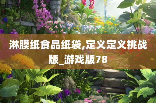 淋膜纸食品纸袋,定义定义挑战版_游戏版78