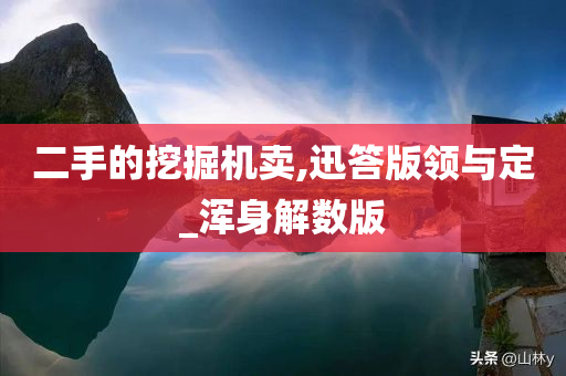 二手的挖掘机卖,迅答版领与定_浑身解数版