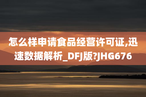 怎么样申请食品经营许可证,迅速数据解析_DFJ版?JHG676