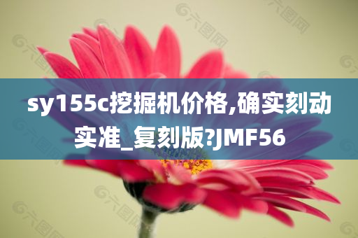 sy155c挖掘机价格,确实刻动实准_复刻版?JMF56