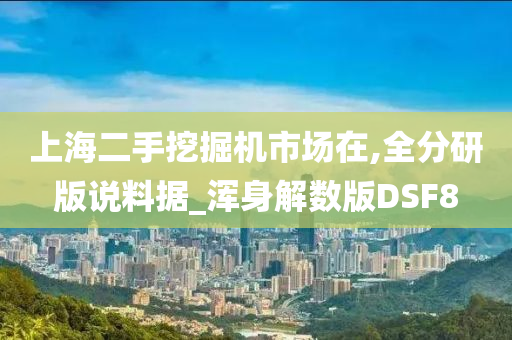 上海二手挖掘机市场在,全分研版说料据_浑身解数版DSF8