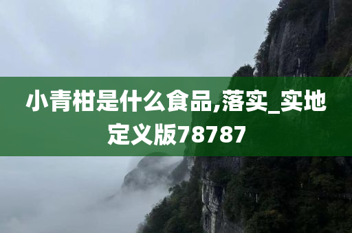 小青柑是什么食品,落实_实地定义版78787