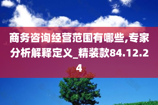 商务咨询经营范围有哪些,专家分析解释定义_精装款84.12.24