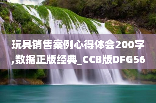 玩具销售案例心得体会200字,数据正版经典_CCB版DFG56